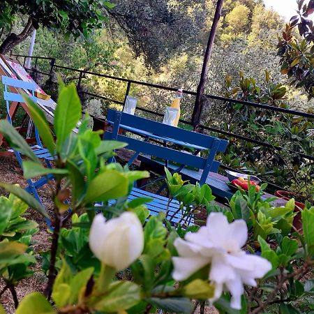 B&B I Glicini Vescina Bagian luar foto