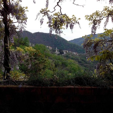 B&B I Glicini Vescina Bagian luar foto