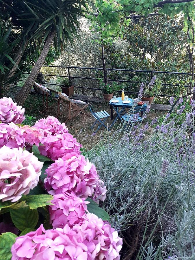 B&B I Glicini Vescina Bagian luar foto