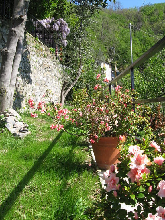 B&B I Glicini Vescina Bagian luar foto