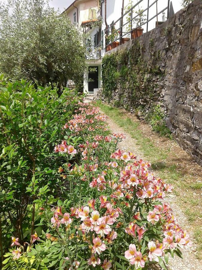 B&B I Glicini Vescina Bagian luar foto