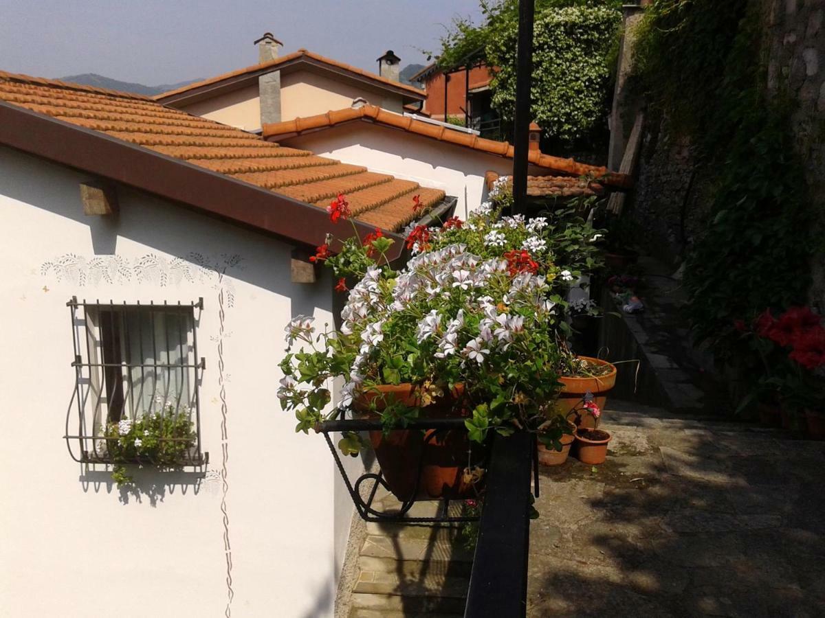 B&B I Glicini Vescina Bagian luar foto