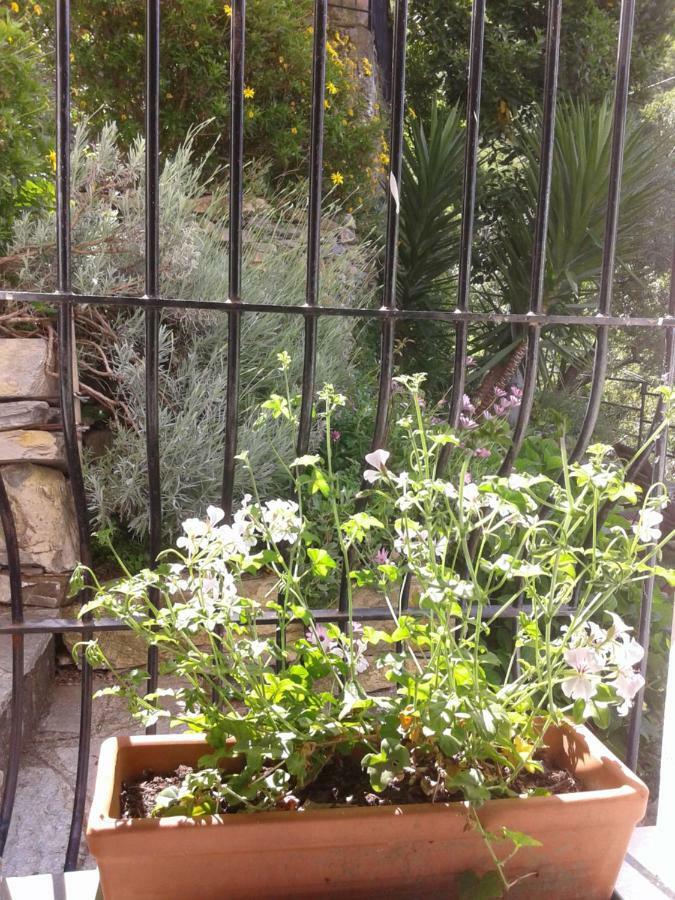 B&B I Glicini Vescina Bagian luar foto