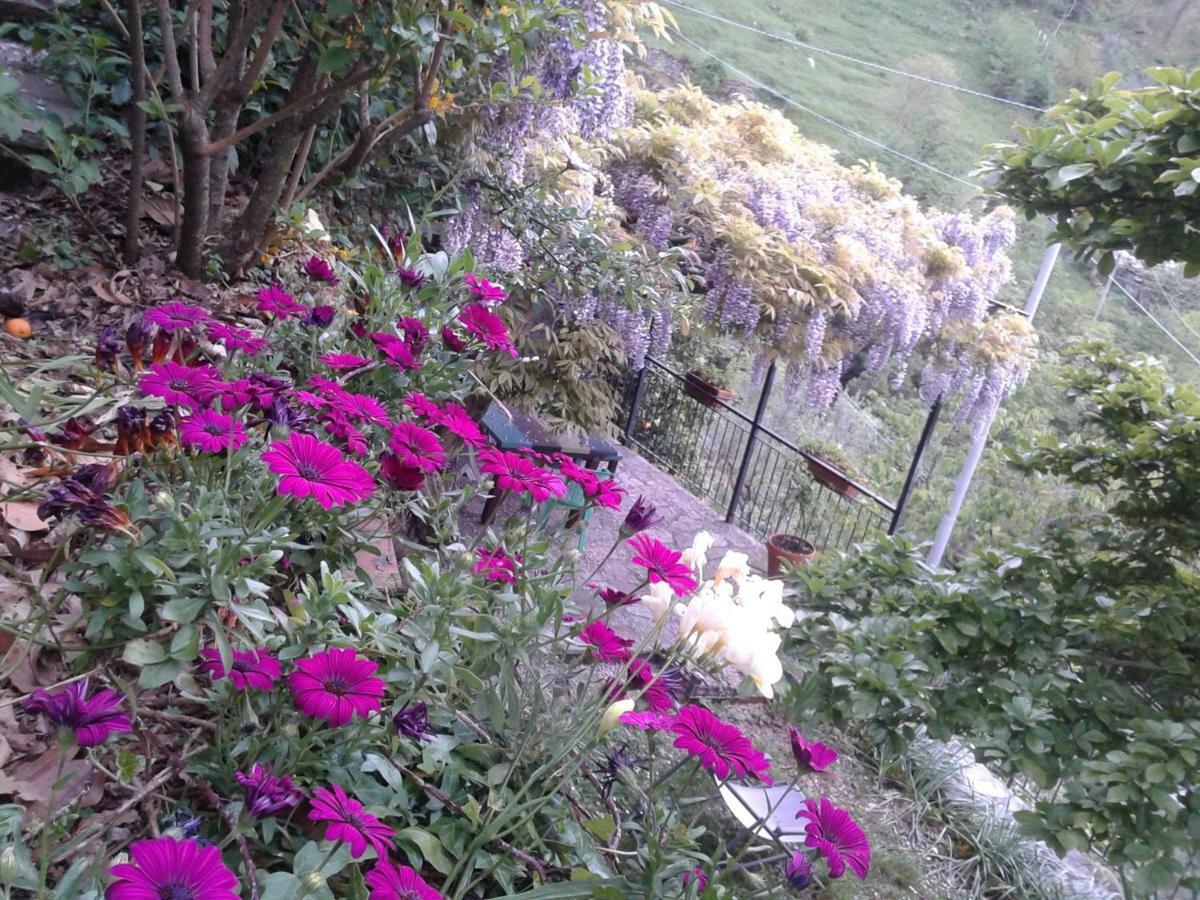 B&B I Glicini Vescina Bagian luar foto