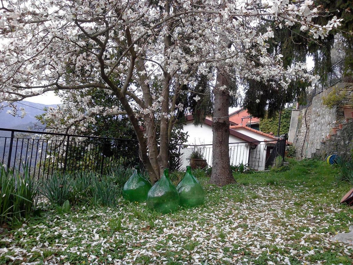 B&B I Glicini Vescina Bagian luar foto