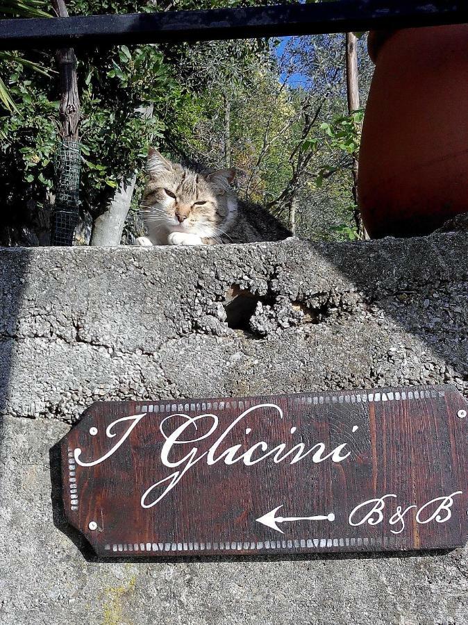B&B I Glicini Vescina Bagian luar foto