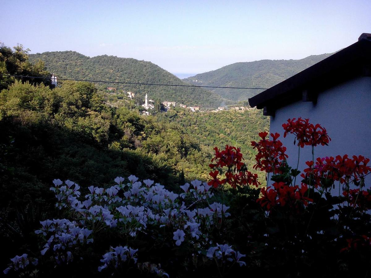 B&B I Glicini Vescina Bagian luar foto