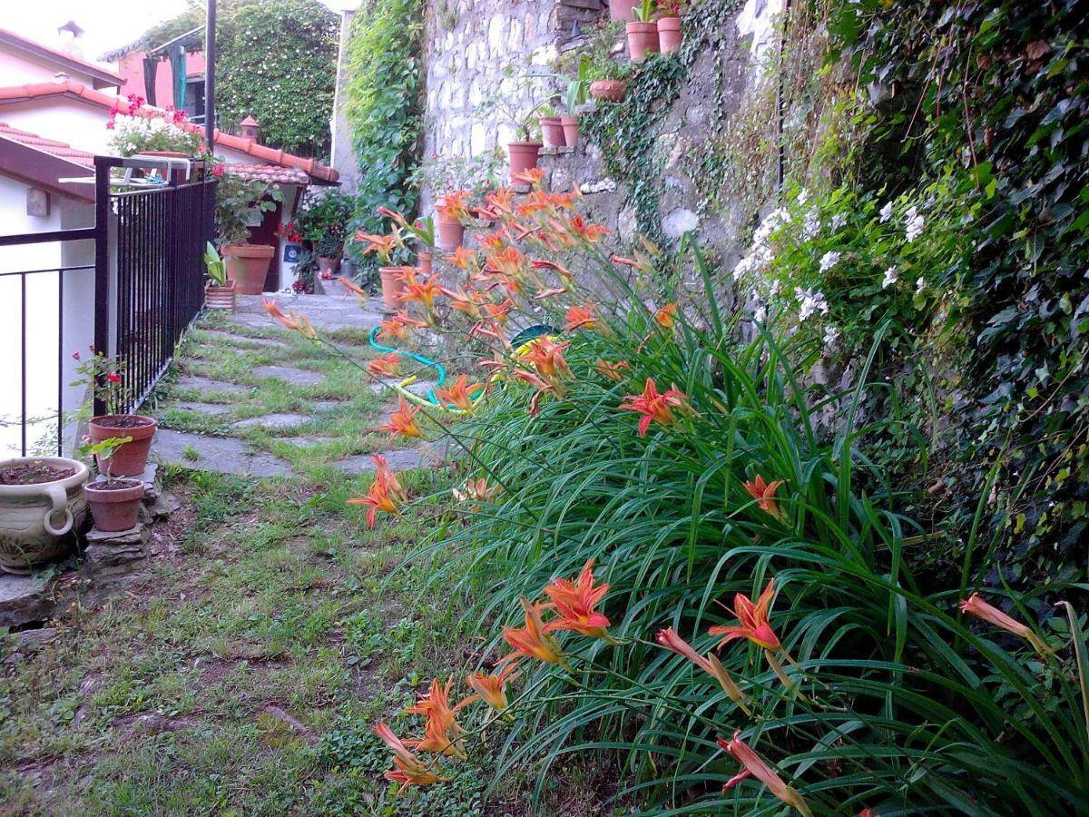 B&B I Glicini Vescina Bagian luar foto