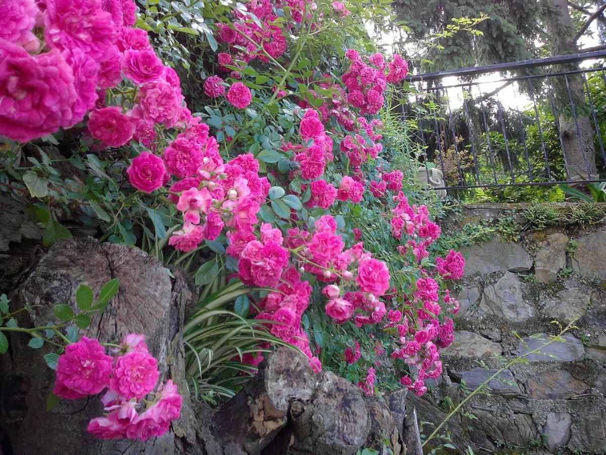 B&B I Glicini Vescina Bagian luar foto