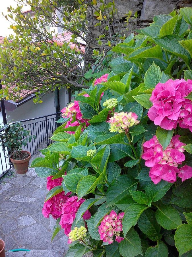 B&B I Glicini Vescina Bagian luar foto