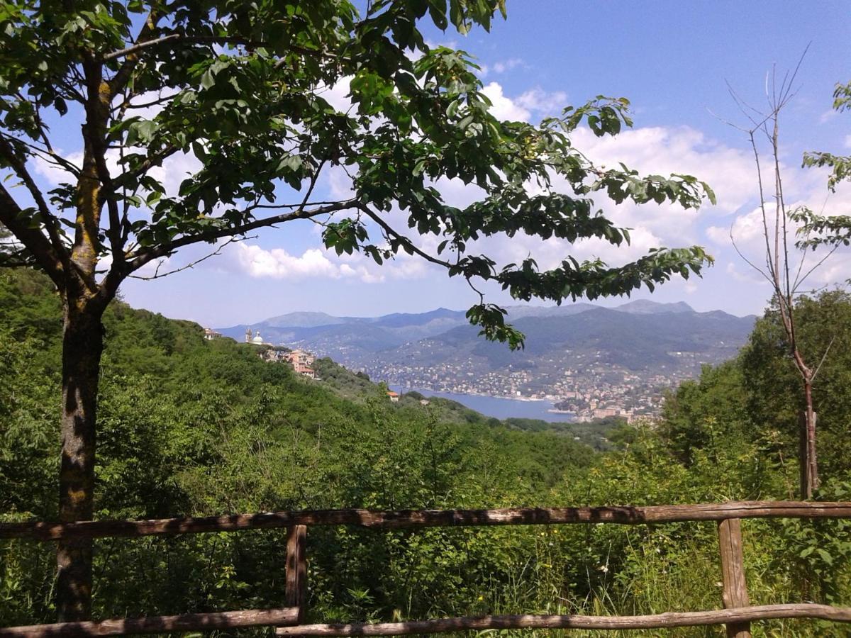 B&B I Glicini Vescina Bagian luar foto