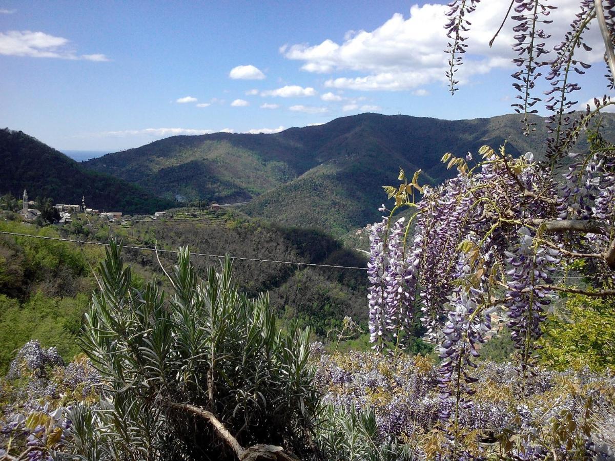 B&B I Glicini Vescina Bagian luar foto